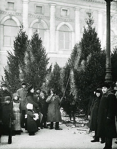 Файл:IMG 20250104 220608 006.jpg