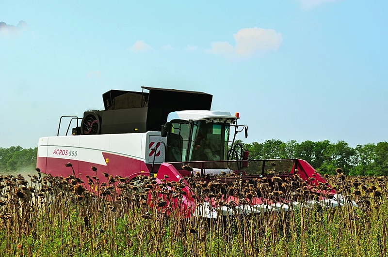 Файл:Photo 5226579787819115095 w.jpg