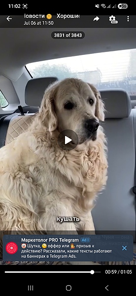 Файл:Screenshot 20250710 110236 Telegram.jpg