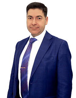 Каменецкий Владимир Ильич